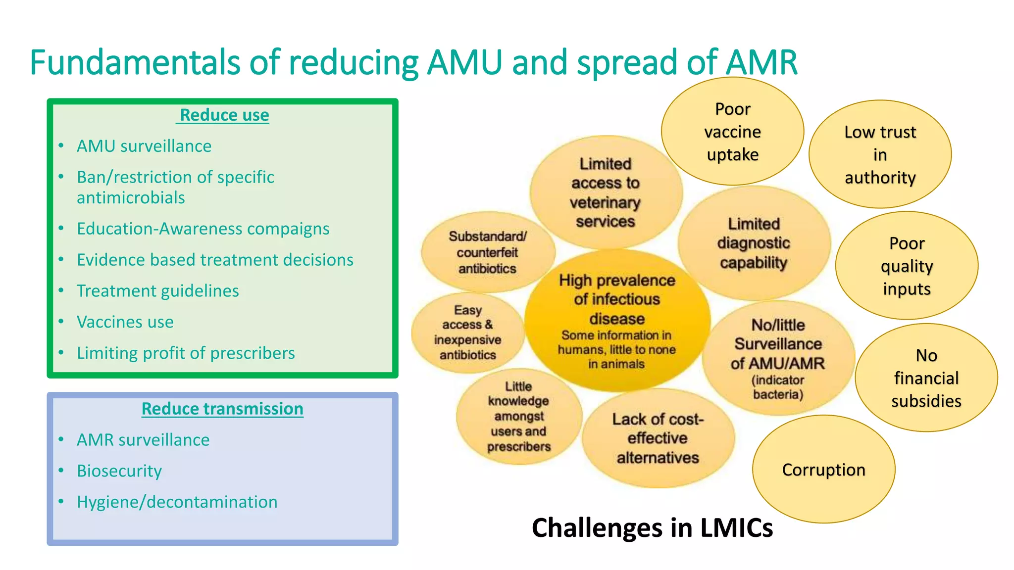 Fundamentals of reducing AMU and spread of AMR
Reduce use
• AMU surveillance
• Ban/restriction of specific
antimicrobials
• Education-Awareness compaigns
• Evidence based treatment decisions
• Treatment guidelines
• Vaccines use
• Limiting profit of prescribers
Reduce transmission
• AMR surveillance
• Biosecurity
• Hygiene/decontamination
Challenges in LMICs
No
financial
subsidies
Poor
quality
inputs
Poor
vaccine
uptake
Corruption
Low trust
in
authority
 