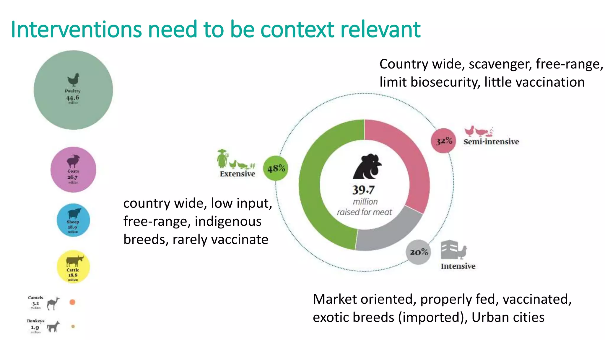 Interventions need to be context relevant
Market oriented, properly fed, vaccinated,
exotic breeds (imported), Urban cities
Country wide, scavenger, free-range,
limit biosecurity, little vaccination
country wide, low input,
free-range, indigenous
breeds, rarely vaccinate
 