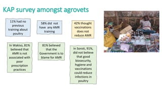 Efforts to reduce antimicrobial use in poultry in low- and middle-income countries