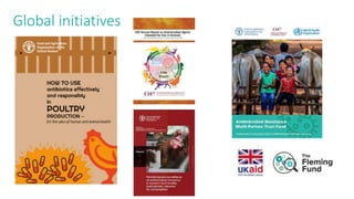 Efforts to reduce antimicrobial use in poultry in low- and middle-income countries