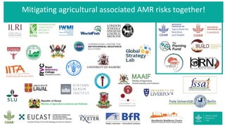 Efforts to reduce antimicrobial use in poultry in low- and middle-income countries