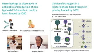 Efforts to reduce antimicrobial use in poultry in low- and middle-income countries