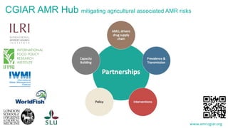 Efforts to reduce antimicrobial use in poultry in low- and middle-income countries