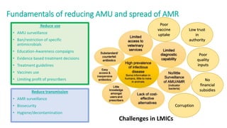 Efforts to reduce antimicrobial use in poultry in low- and middle-income countries
