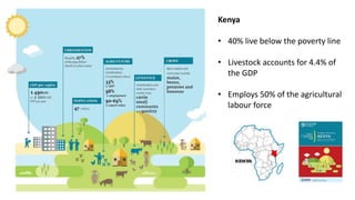 Efforts to reduce antimicrobial use in poultry in low- and middle-income countries