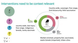 Efforts to reduce antimicrobial use in poultry in low- and middle-income countries