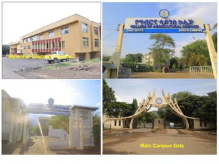 School of Graduate Studies
Main Campus Gate
 