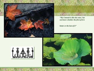 “My Ummah is like the rain, I do 
not know whether the first of it is 
better or the last of it” 
 