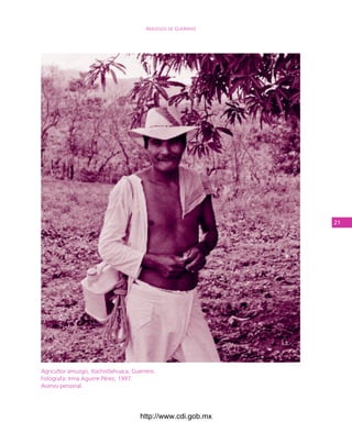 Amuzgos de guerrero




                                                              21




Agricultor amuzgo, Xochistlahuaca, Guerrero.
Fotógrafa: Irma Aguirre Pérez, 1997.
Acervo personal.




                                      http://www.cdi.gob.mx
 