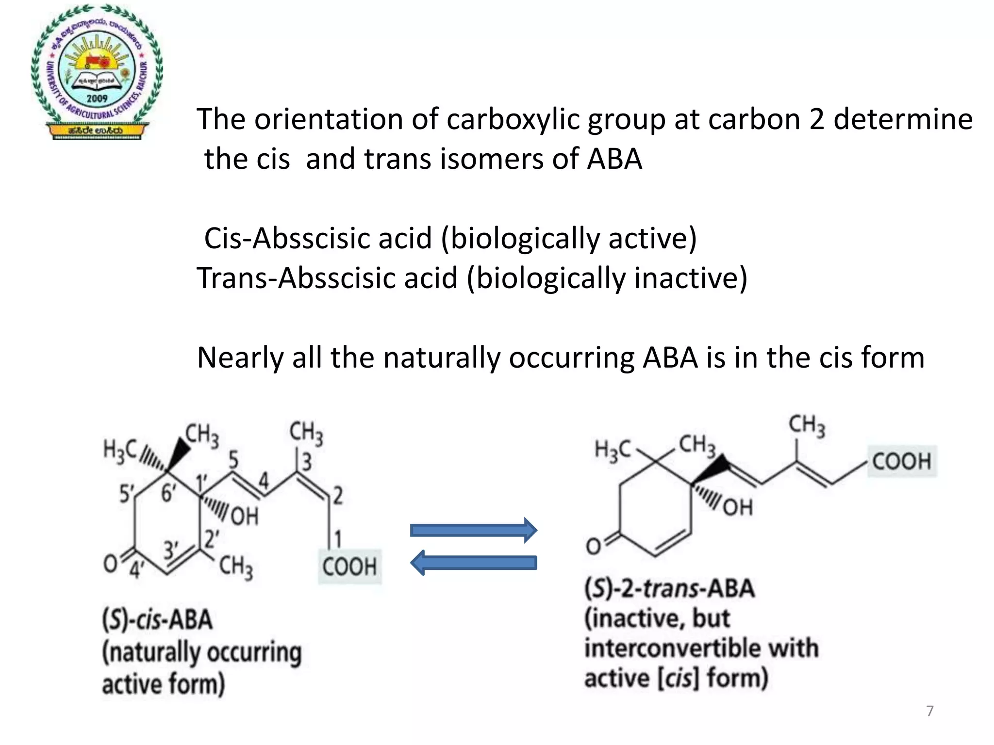 The Truth About Rigid Aba: [Component Of Rigid Aba] And Its Impact - mxvtcsa