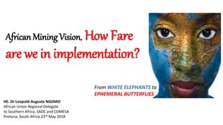 African Mining Vision, How Fare
are we in implementation?
HE. Dr Leopold-Auguste NGOMO
African Union Regional Delegate
to Southern Africa, SADC and COMESA
Pretoria, South Africa 23rd May 2018
From WHITE ELEPHANTS to
EPHEMERAL BUTTERFLIES
 