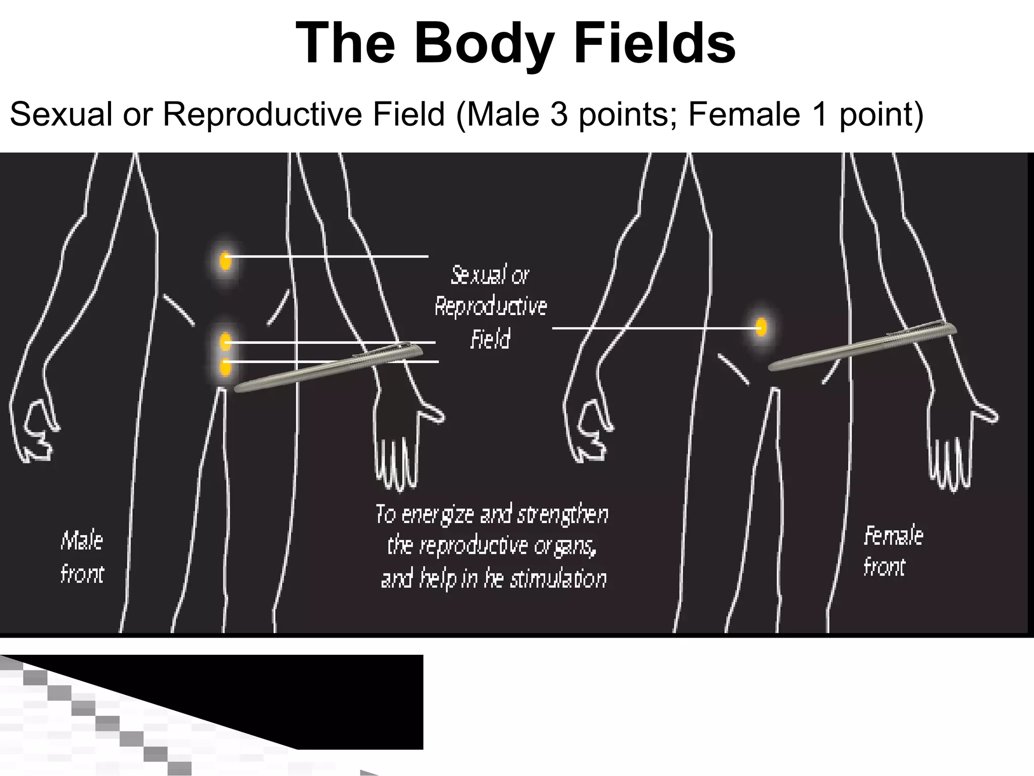 Sexual or Reproductive Field (Male 3 points; Female 1 point) The Body Fields 