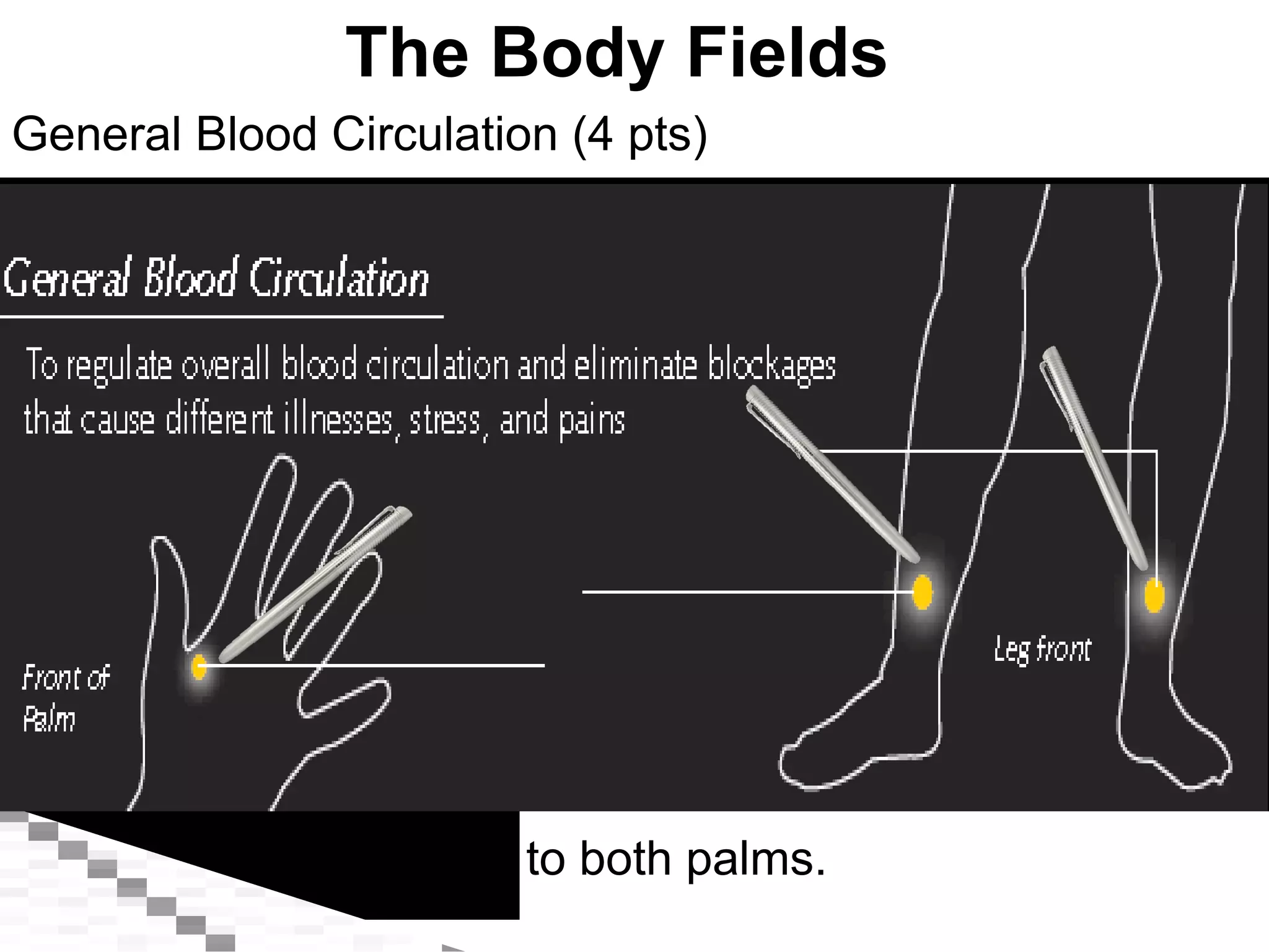General Blood Circulation (4 pts) The Body Fields Applicable to both palms. 