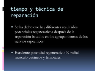 tiempo y técnica de reparación<br />Se ha dicho que hay diferentes resultados potenciales regenerativos después de la repa...