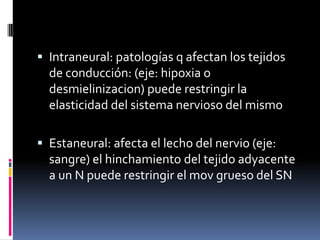 Intraneural: patologías q afectan los tejidos de conducción: (eje: hipoxia o desmielinizacion) puede restringir la elastic...