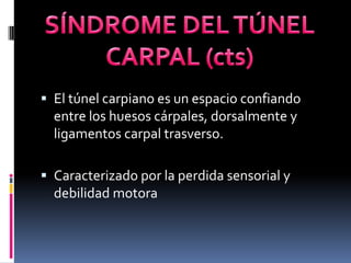 SÍNDROME DEL TÚNEL<br />CARPAL (cts)<br />El túnel carpiano es un espacio confiando entre los huesos cárpales, dorsalmente...