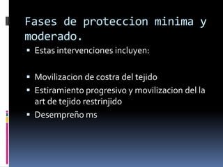 Fases de proteccionminima y moderado.<br />Estas intervenciones incluyen:<br />Movilizacion de costra del tejido <br />Est...
