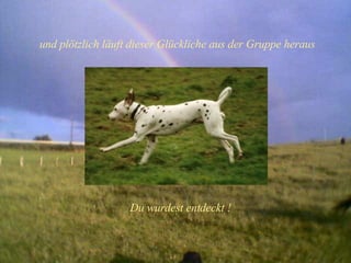 und plötzlich läuft dieser Glückliche aus der Gruppe heraus Du wurdest entdeckt ! 