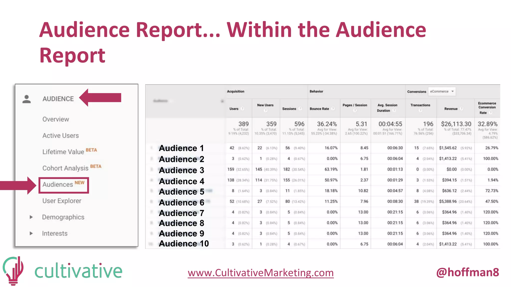 www.CultivativeMarketing.com @hoffman8
Audience Report... Within the Audience
Report
Audience 1
Audience 2
Audience 3
Audience 4
Audience 5
Audience 6
Audience 7
Audience 8
Audience 9
Audience 10
 