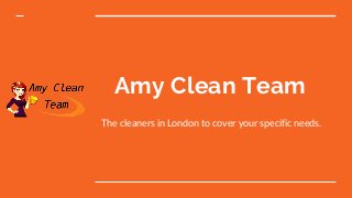 Amy Clean Team
The cleaners in London to cover your specific needs.
 
