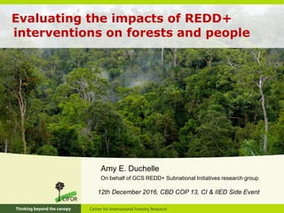 Evaluating the impacts of REDD+
interventions on forests and people
Amy E. Duchelle
On behalf of GCS REDD+ Subnational Initiatives research group
12th December 2016, CBD COP 13, CI & IIED Side Event
 