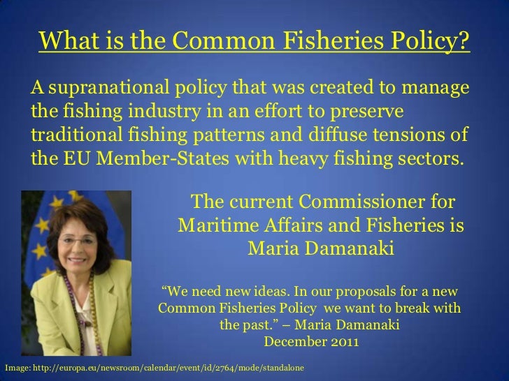 Common Fisheries PolicyLong Version
