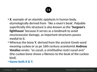 Amygdala Medi-Trivia Quiz (Finals) | FAQ 2024 | PPTX