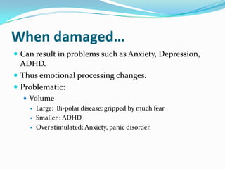 Fear & Traumatic Events: University of Queensland, 2008traumatic experience (i.e. car accident or abuse) triggered response fearEmotional events may lead to disturbing long term memories.