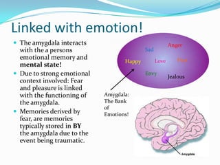 Just above the Hippocampus  