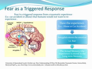 Located with ones person's mental and emotional state.Linked with emotion!The amygdala interacts with the a persons emotional memory and mental state!Due to strong emotional context involved: Fear and pleasure is linked with the functioning of the amygdala. Memories derived by fear, are memories typically stored in BY the amygdala due to the event being traumatic. AngerSadFearLove HappyEnvyJealousAmygdala: The Bank of Emotions!