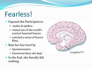 And She Had NO Fear! Literally!!!!!University of Iowa: Feinstein et al. (2010): A Girl without an Amygdala “Without our amygdala, the alarm in our brain that pushes us to avoid danger is missing” ~FeinsteinShe does NOT have an amygdala, and other areas of the brain (i.e. bed Nuclei) were unable to compensate. The participant felt no emotion