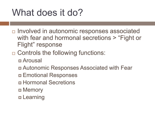 Amygdala Presentation