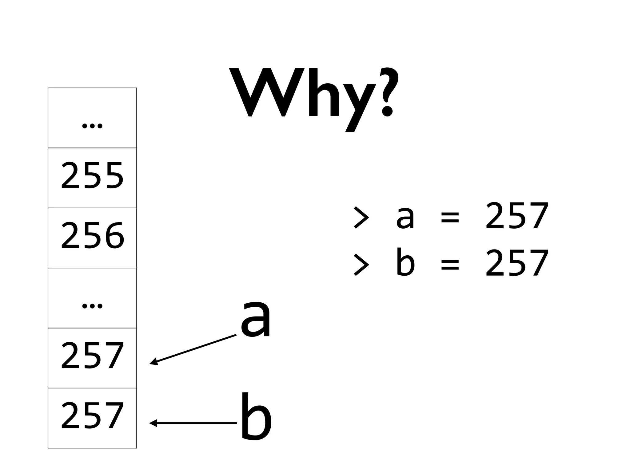 a
Why?…
255
256
…
257
257 b
>	
  a	
  =	
  257	
  
>	
  b	
  =	
  257	
  
!
 
