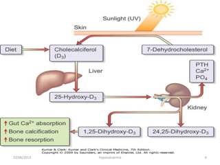 22/06/2013 Hypocalcaemia 6
 