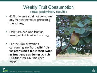 Quantifying the direct contributions of forests to diets in Zambia: sharing preliminary result from a CIFOR-FAO project