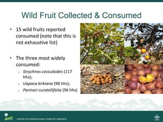 Quantifying the direct contributions of forests to diets in Zambia: sharing preliminary result from a CIFOR-FAO project