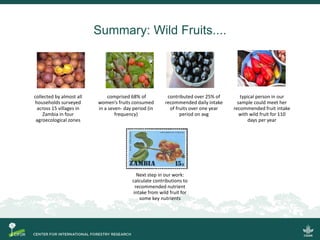 Quantifying the direct contributions of forests to diets in Zambia: sharing preliminary result from a CIFOR-FAO project