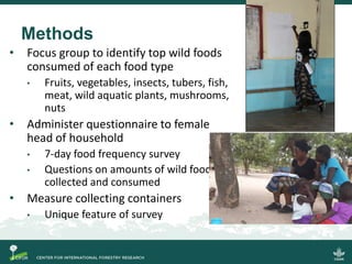 Quantifying the direct contributions of forests to diets in Zambia: sharing preliminary result from a CIFOR-FAO project