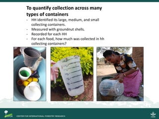 Quantifying the direct contributions of forests to diets in Zambia: sharing preliminary result from a CIFOR-FAO project