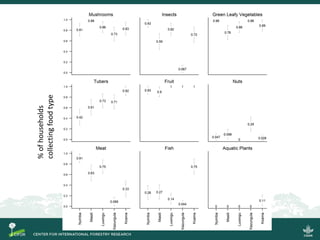 Quantifying the direct contributions of forests to diets in Zambia: sharing preliminary result from a CIFOR-FAO project