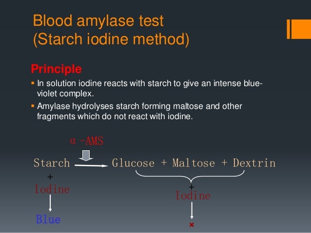 test glucose 6.7 blood Amylase test glucose 6.7 blood Amylase