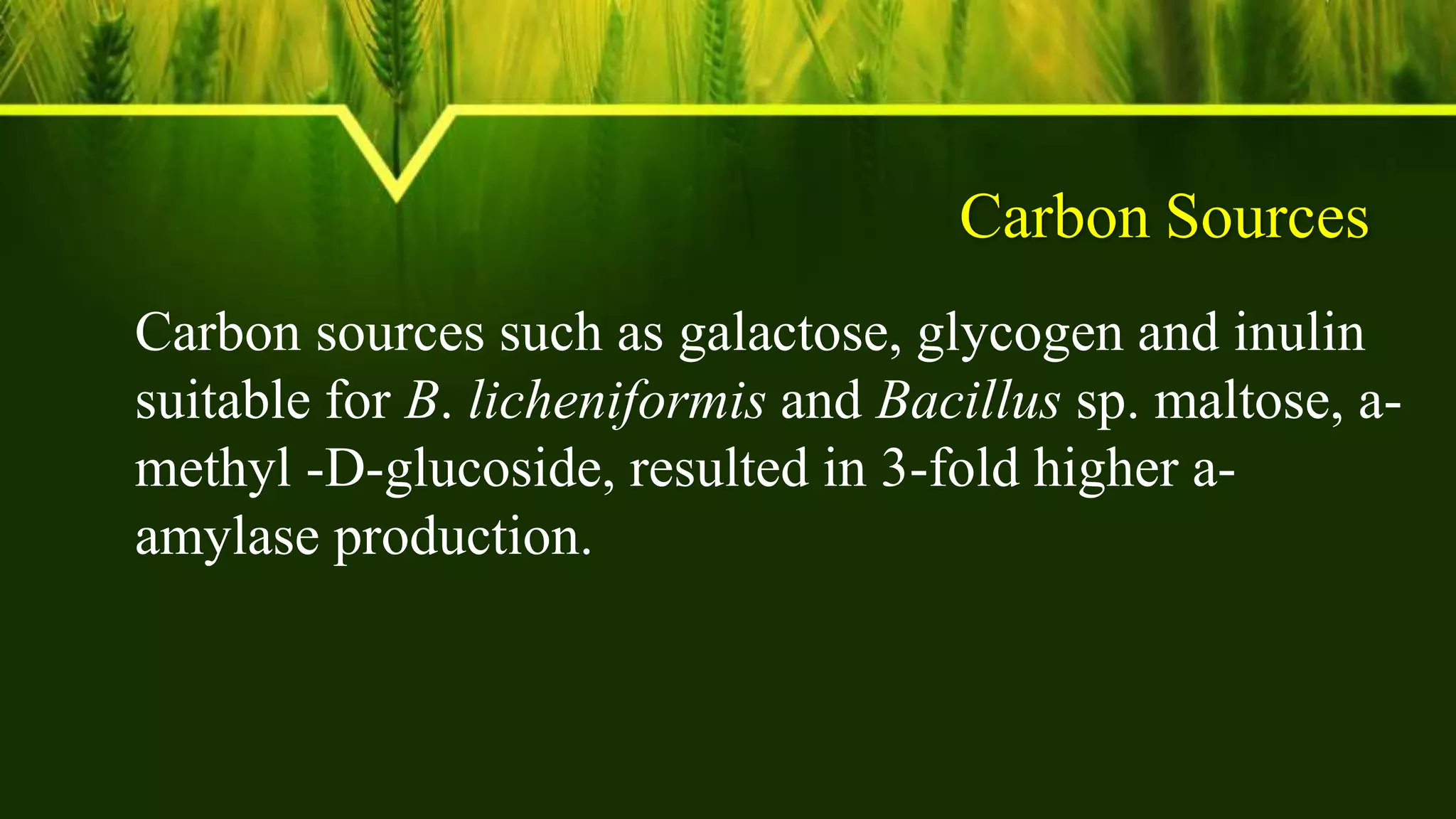 Carbon Sources
Carbon sources such as galactose, glycogen and inulin
suitable for B. licheniformis and Bacillus sp. maltose, a-
methyl -D-glucoside, resulted in 3-fold higher a-
amylase production.
 