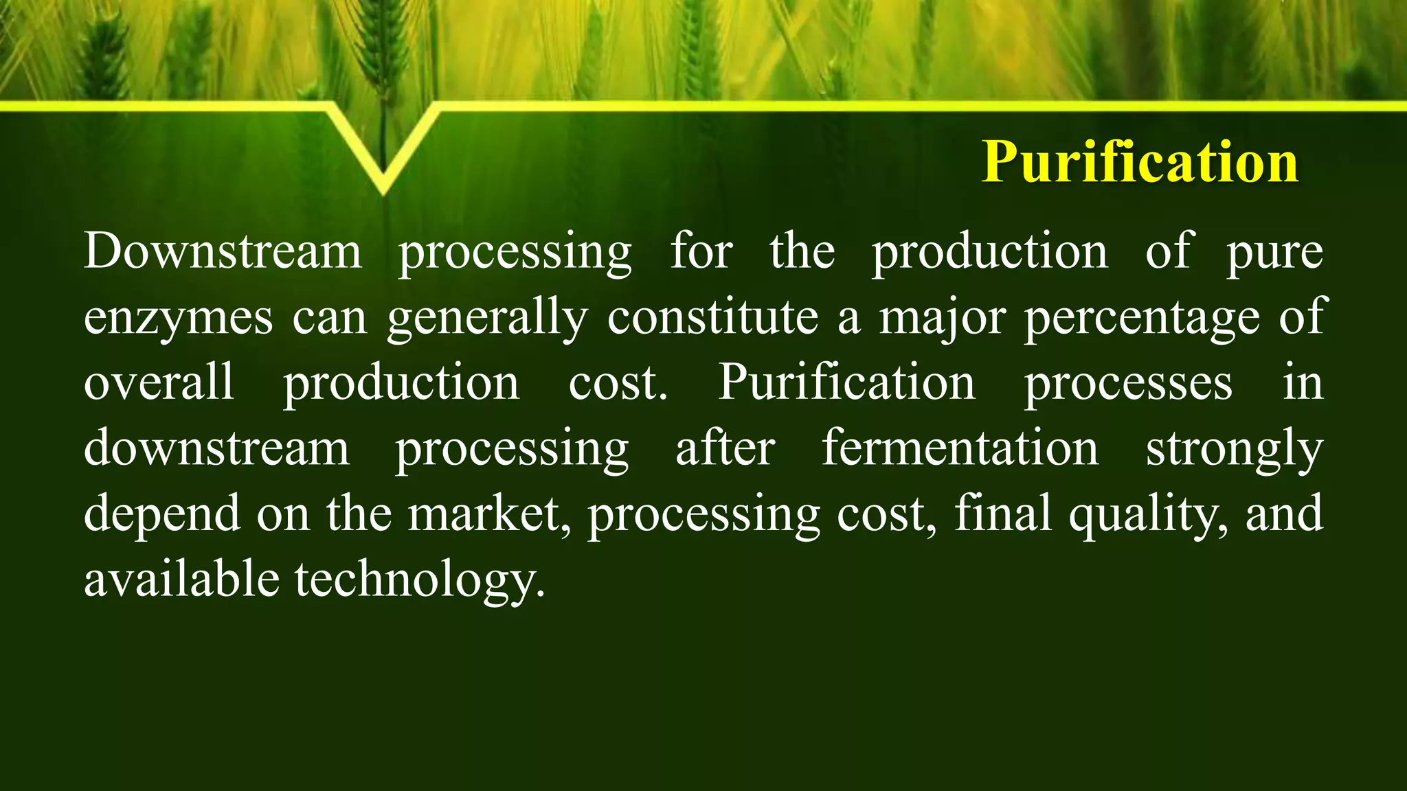 Purification
Downstream processing for the production of pure
enzymes can generally constitute a major percentage of
overall production cost. Purification processes in
downstream processing after fermentation strongly
depend on the market, processing cost, final quality, and
available technology.
 