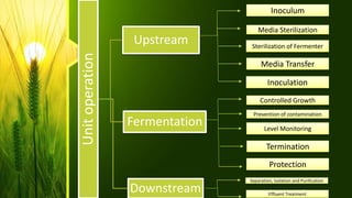 Unitoperation
Upstream
Fermentation
Downstream
Inoculum
Sterilization of Fermenter
Inoculation
Media Sterilization
Media Transfer
Controlled Growth
Level Monitoring
Prevention of contamination
Protection
Termination
Separation, Isolation and Purification
Effluent Treatment
 