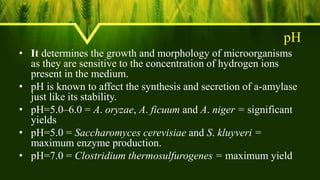 pH
• It determines the growth and morphology of microorganisms
as they are sensitive to the concentration of hydrogen ions
present in the medium.
• pH is known to affect the synthesis and secretion of a-amylase
just like its stability.
• pH=5.0–6.0 = A. oryzae, A. ficuum and A. niger = significant
yields
• pH=5.0 = Saccharomyces cerevisiae and S. kluyveri =
maximum enzyme production.
• pH=7.0 = Clostridium thermosulfurogenes = maximum yield
 