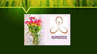 Amylase (Production and application0