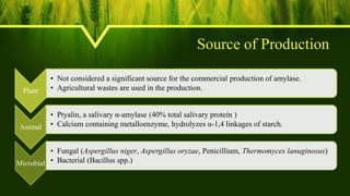 Source of Production
Plant
• Not considered a significant source for the commercial production of amylase.
• Agricultural wastes are used in the production.
Animal
• Ptyalin, a salivary α-amylase (40% total salivary protein )
• Calcium containing metalloenzyme, hydrolyzes α-1,4 linkages of starch.
Microbial
• Fungal (Aspergillus niger, Aspergillus oryzae, Penicillium, Thermomyces lanuginosus)
• Bacterial (Bacillus spp.)
 