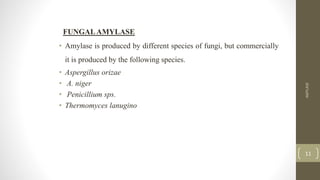 FUNGALAMYLASE
• Amylase is produced by different species of fungi, but commercially
it is produced by the following species.
• Aspergillus orizae
• A. niger
• Penicillium sps.
• Thermomyces lanugino
AMYLASE
11
 