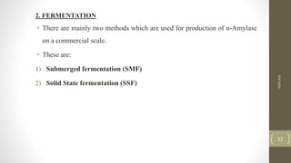2. FERMENTATION
• There are mainly two methods which are used for production of α-Amylase
on a commercial scale.
• These are:
1) Submerged fermentation (SMF)
2) Solid State fermentation (SSF)
AMYLASE
12
 