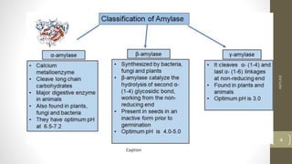 Amylase Example AMYLASE..............................pptx